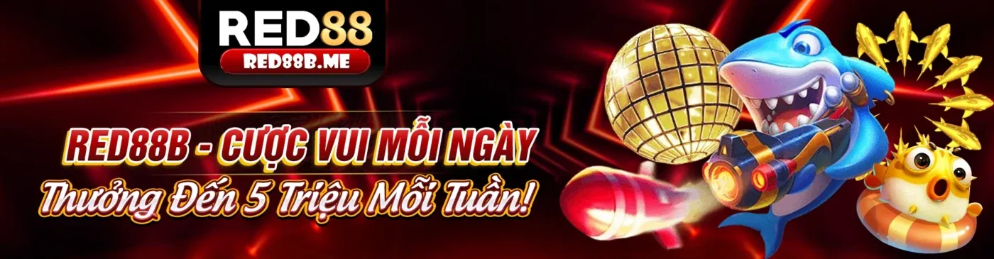 Tổng quan về chương trình hoàn trả 1xBet Android