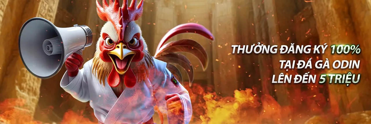 Khuyến mãi độc quyền 1xBet Android 2026